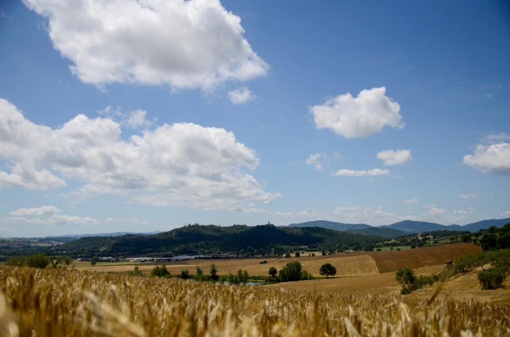 Sector agroexportador suma casi US$ 22 mil millones en cinco meses
