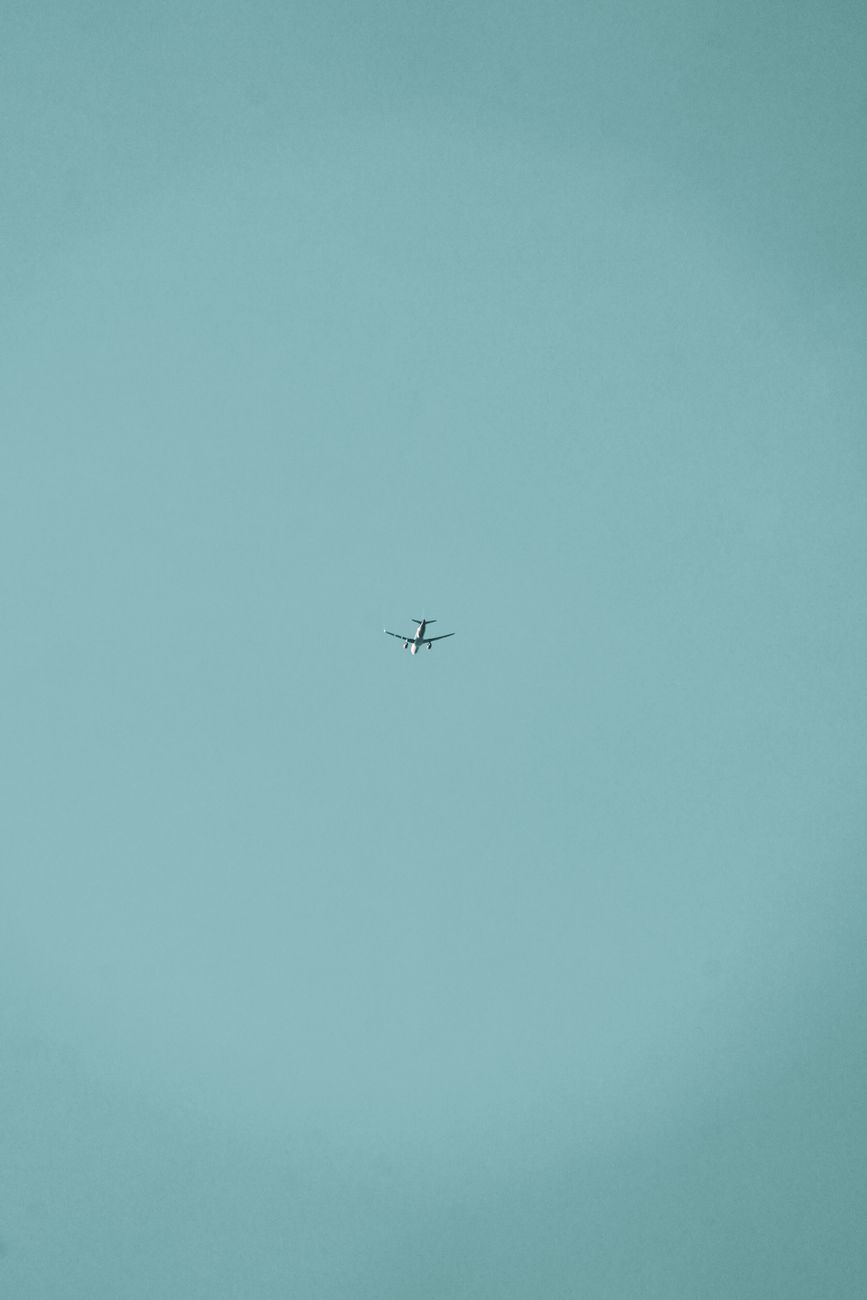 Aerofobia versus nervios: como identificar cuando es un verdadero&nbsp;problema