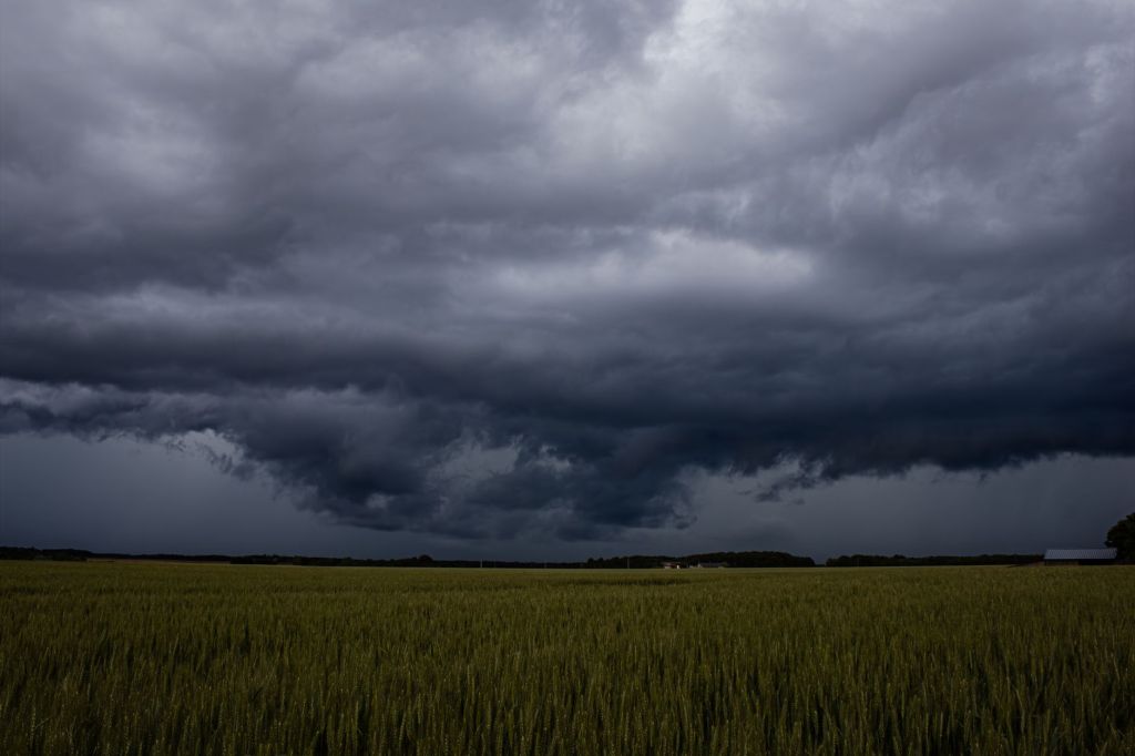 Tormentas y calor: El Niño obliga a innovar en la&nbsp;agricultura