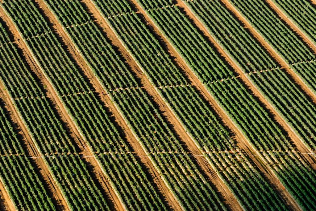 Corrientes: créditos agropecuarios con hasta 48 meses y subsidio de&nbsp;interés