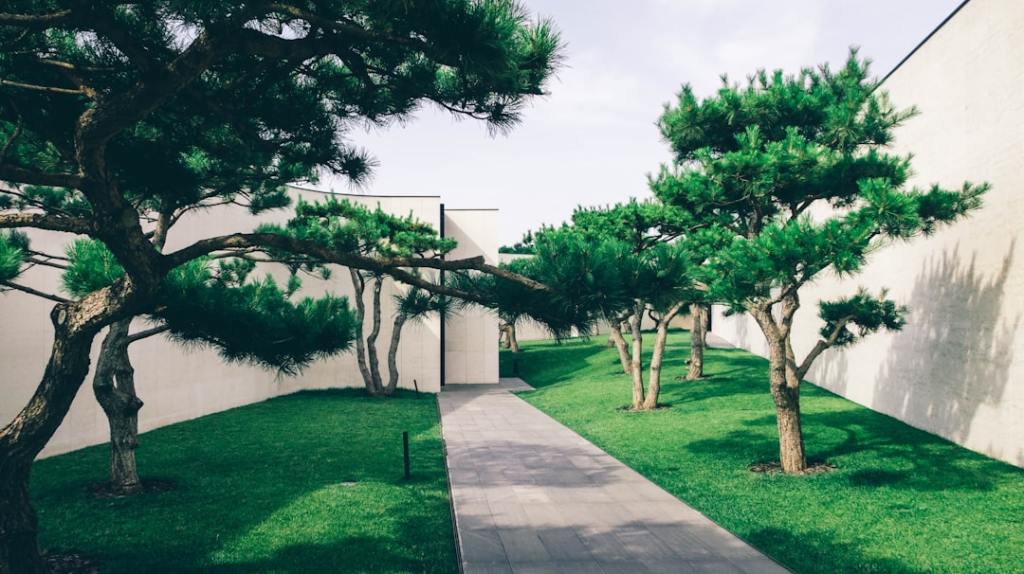 Hospitales más verdes: cómo la naturaleza revoluciona la atención&nbsp;médica